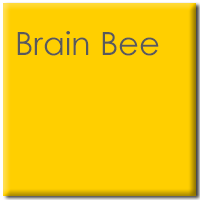 BrainBee