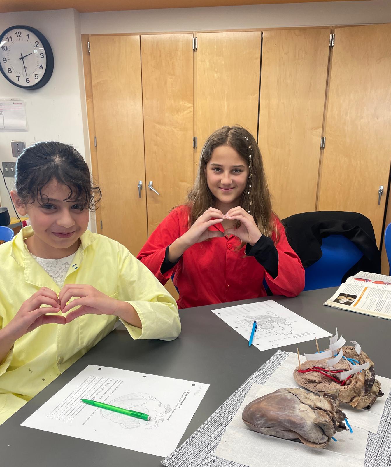 STEM - A Heartfelt Lesson - German International School Washington D.C.