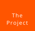 The  Project