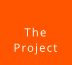 The  Project